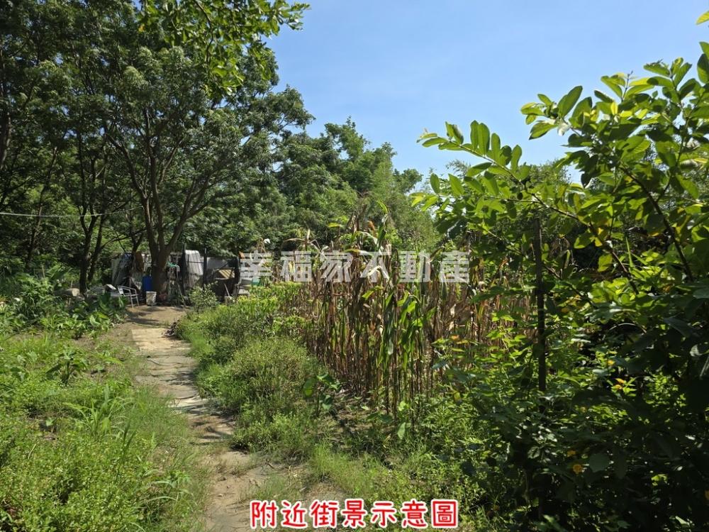 永成路靜巷344坪都內農地