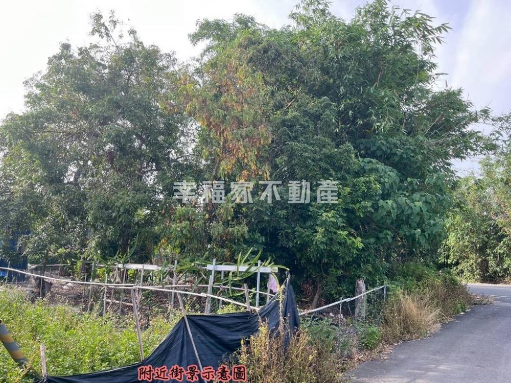 東山區路口建地B