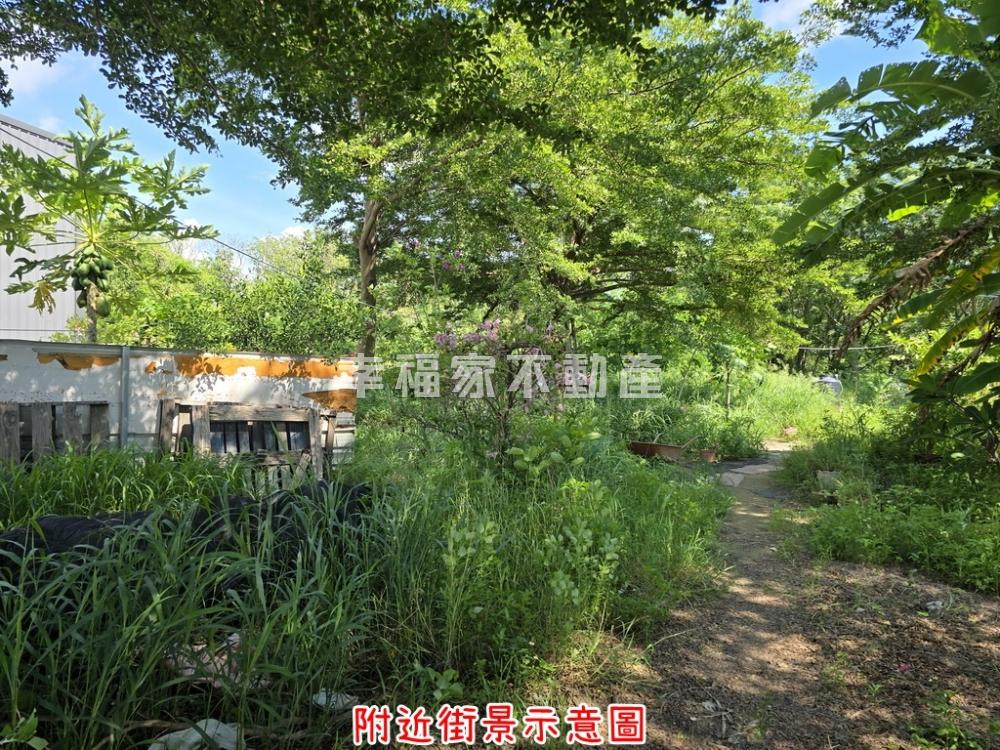 永成路靜巷522坪都內農地
