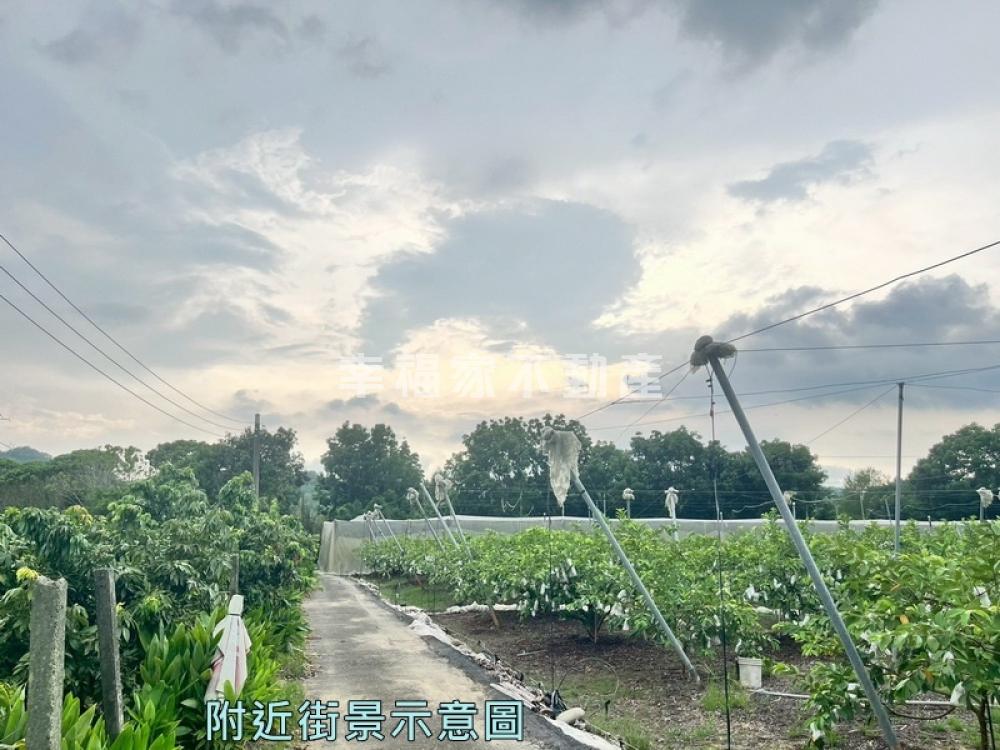 楠西持分千坪農地