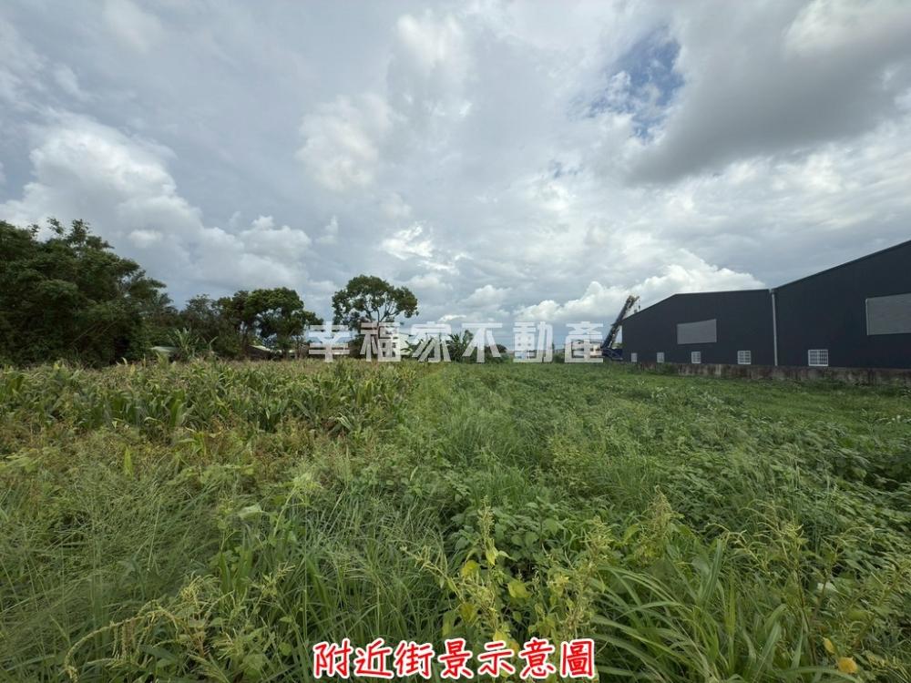 善化北子店1.8分沃田