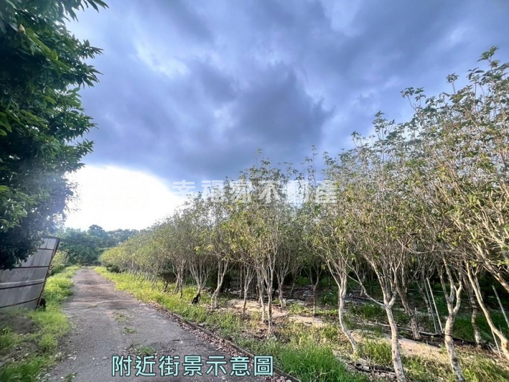 楠西4.7分農地