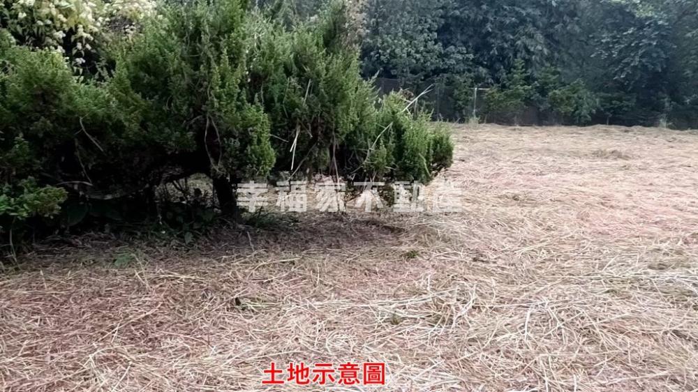 專燕巢堅持維護天然原生農地
