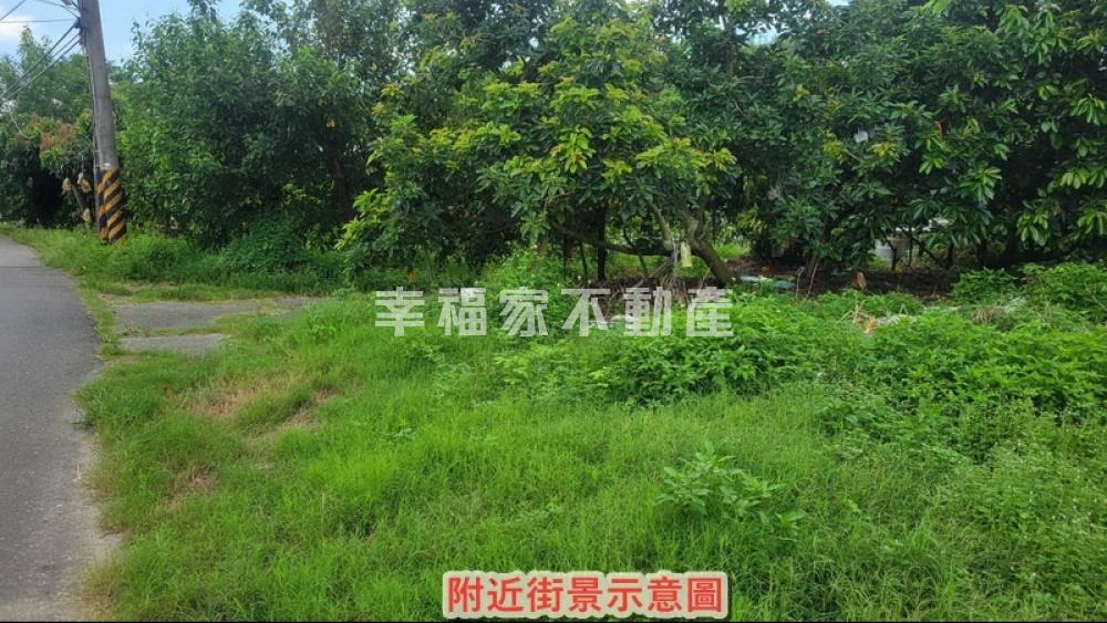 大內持分農地