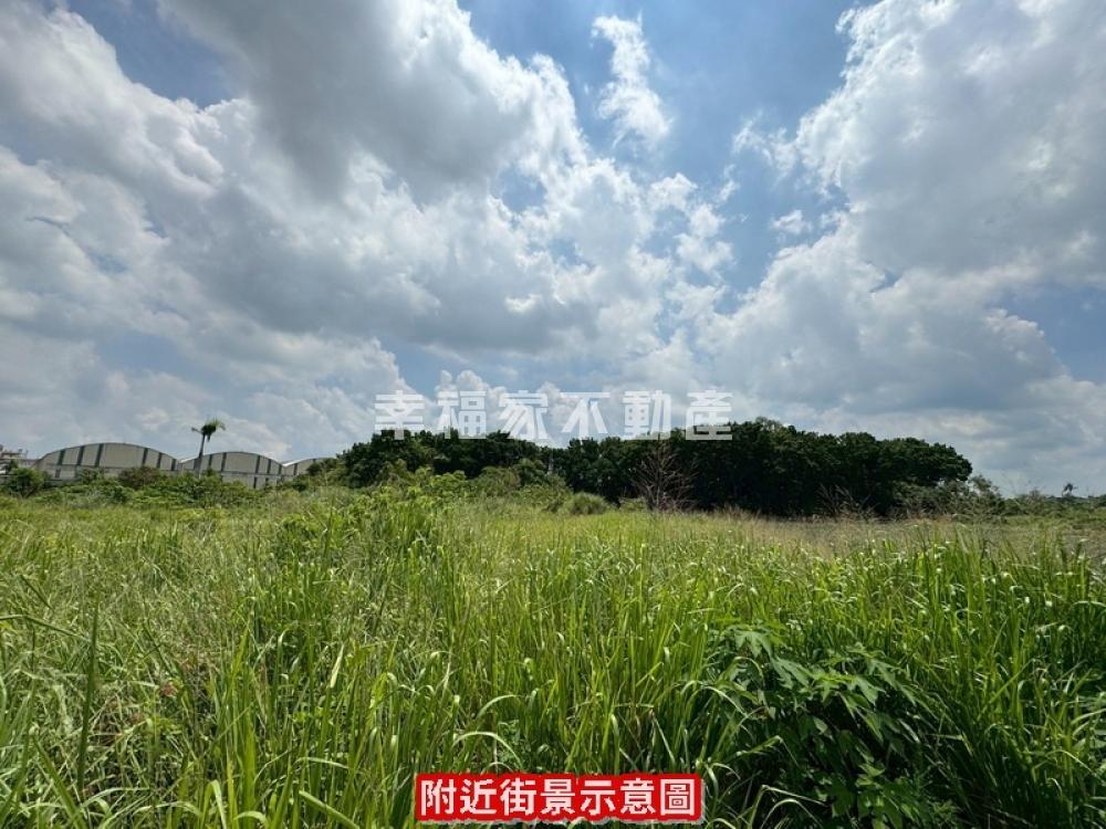 關廟五甲養生農地