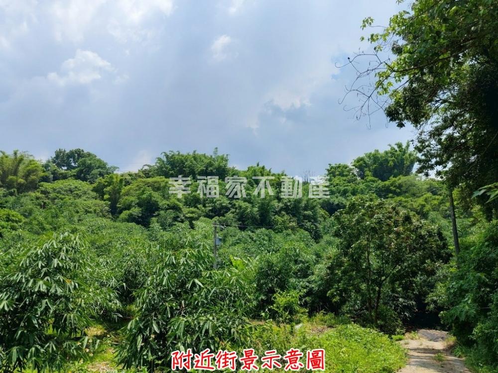 左鎮山豹5.6分農地適農保