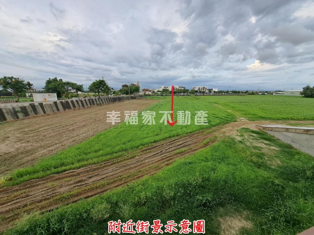 大洲30米道路旁美田-B