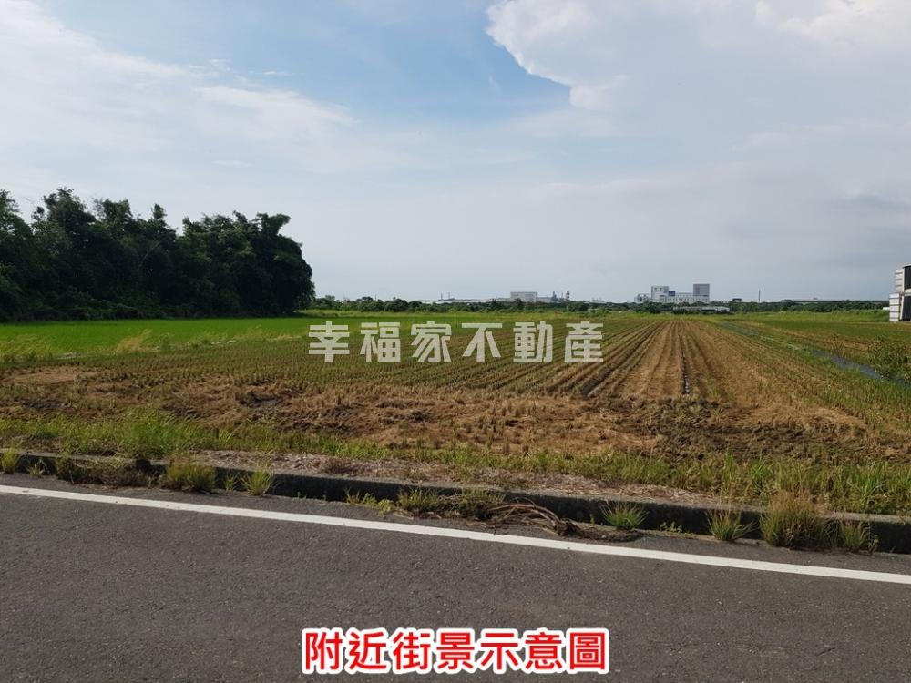 柳科旁綠意盎然開心農場