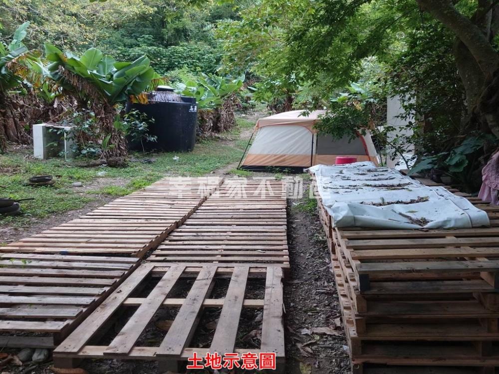 卑南公園釋迦產地旁漂亮農地