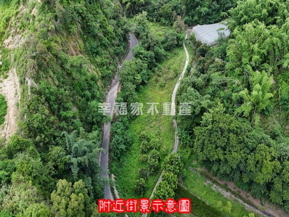 大內俗農地+五甲國有林權利