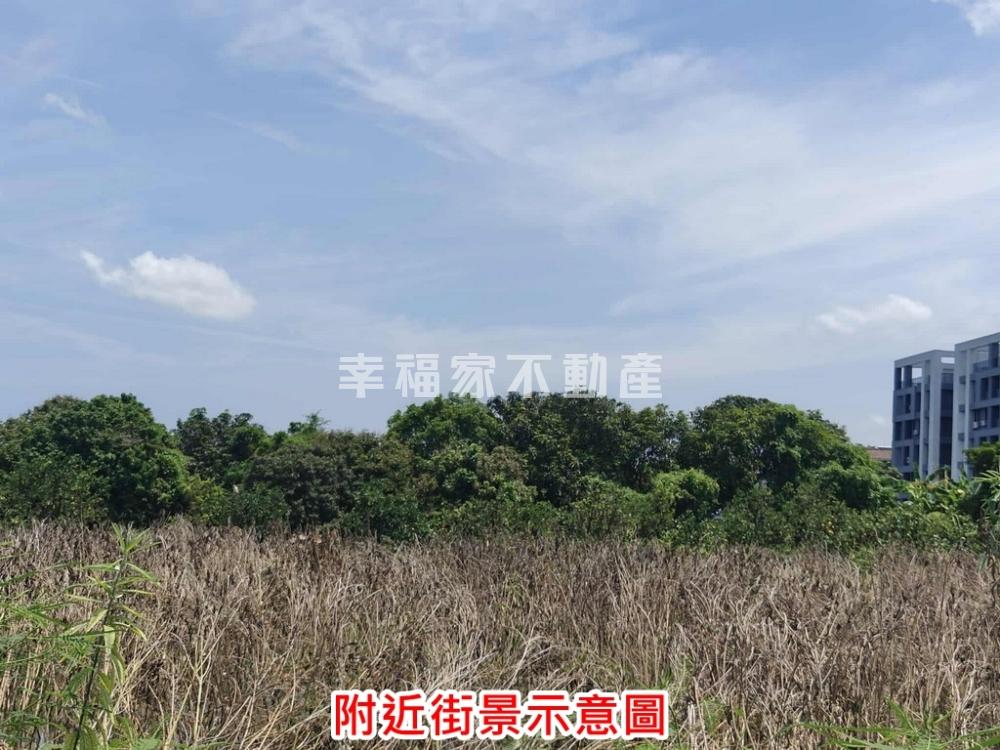 麻豆近黎明中學平價柚子園