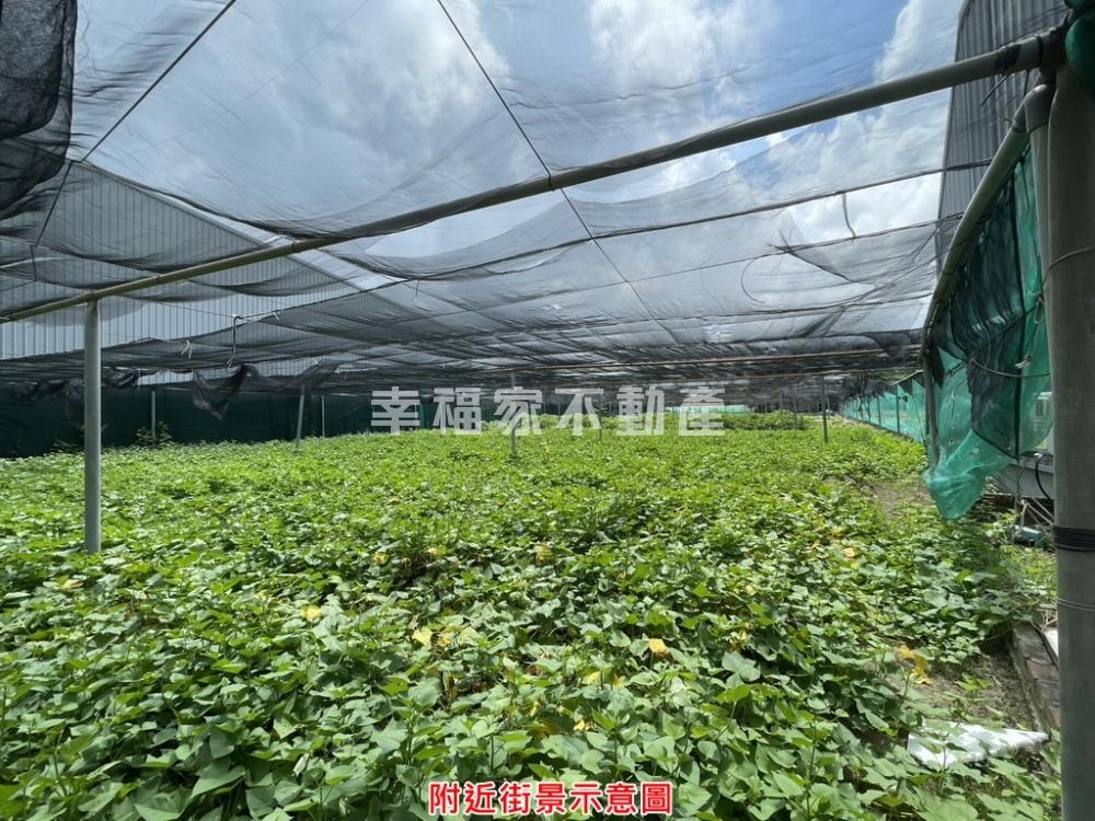 南區永成路二段近千坪地
