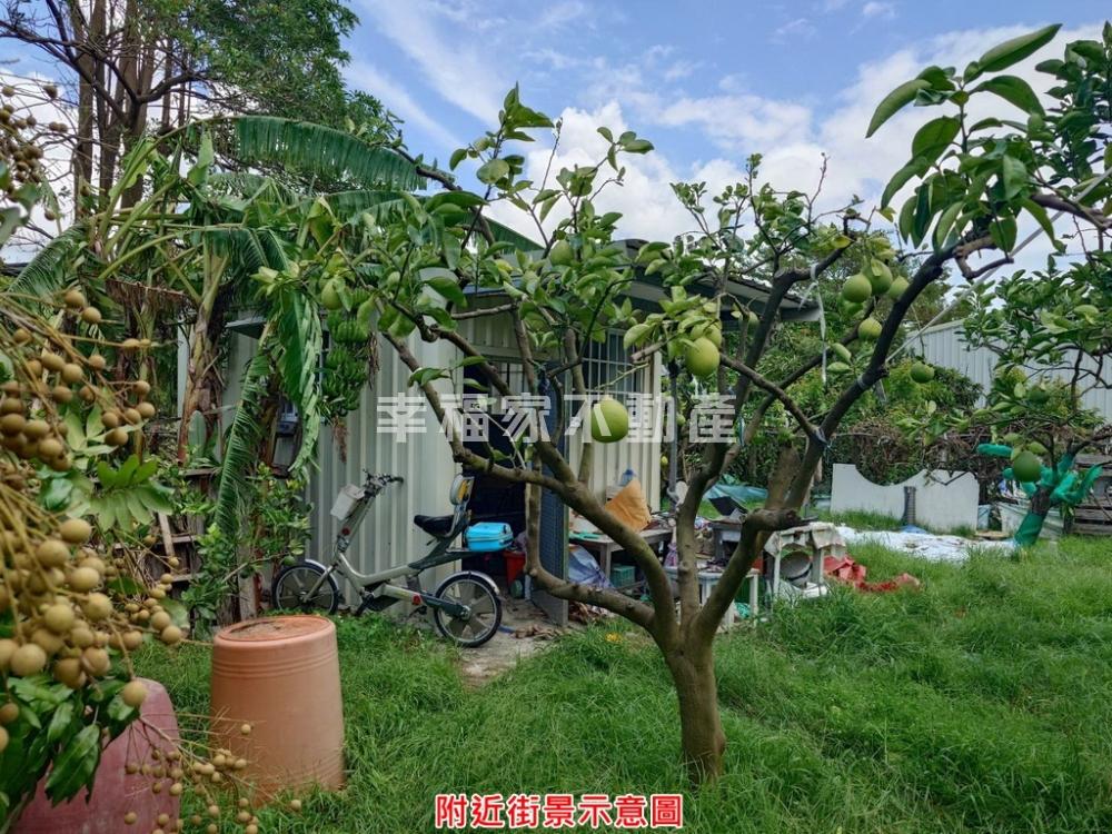鄰麻豆國中潛力文中用地一
