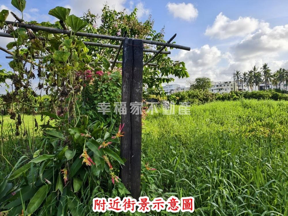 歸仁近市區2.2分美農地
