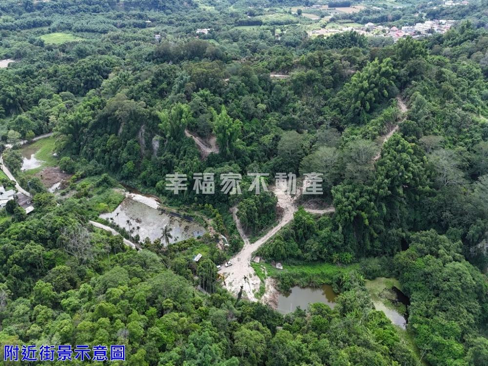 出價談!白河4.2甲農林地