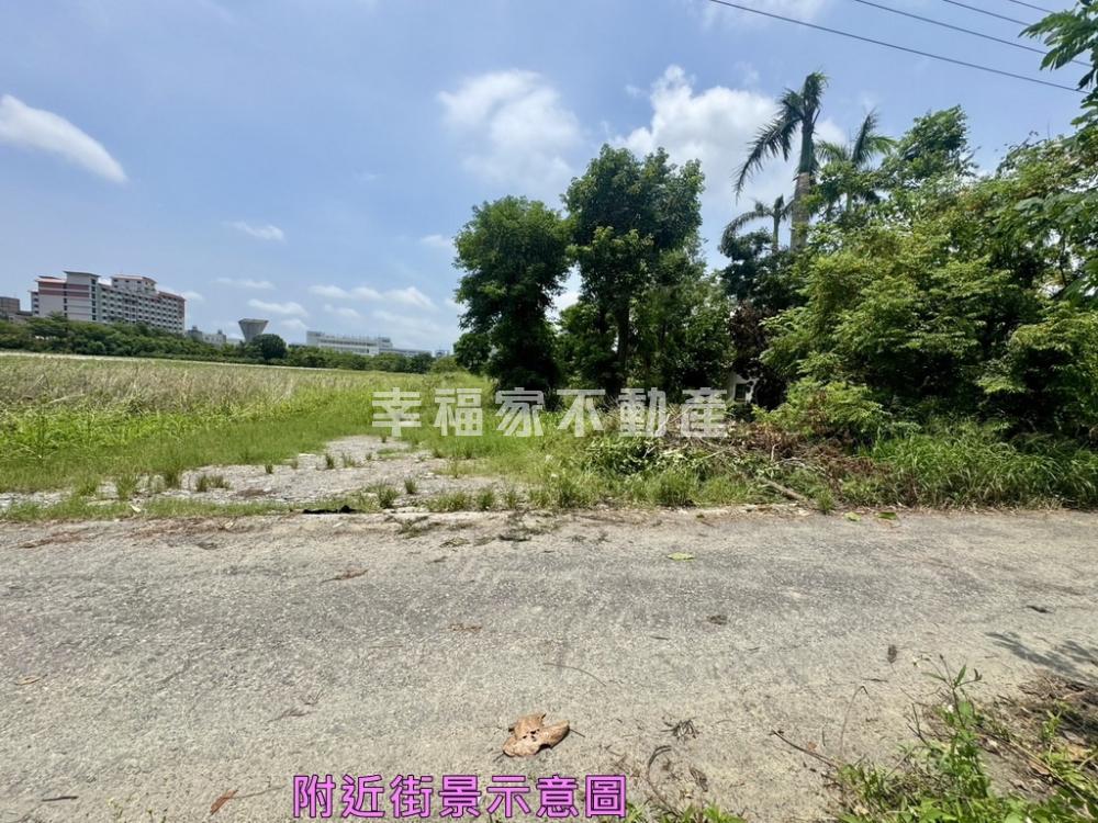 新市近復興路南科972農地