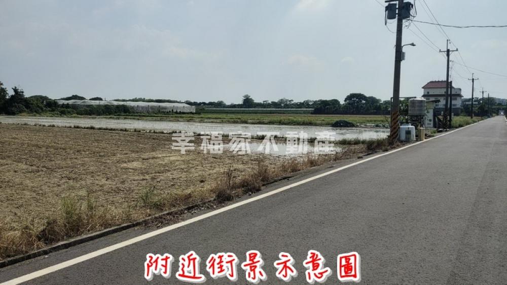 善化近國三出口農地