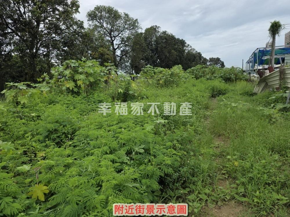 仁德千坪農地