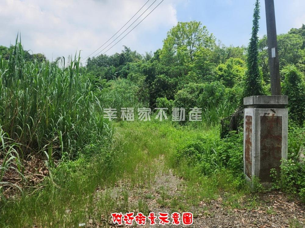 關廟埤子頭平坦農地