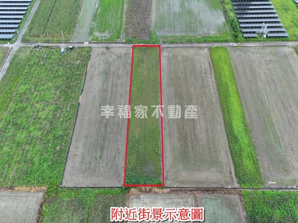 善化｜休閒｜一般農