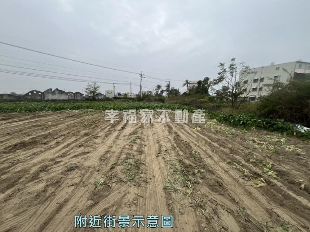 布袋鎮景山國小旁潛力農地