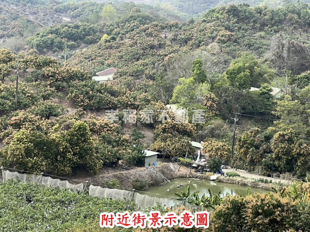 玉井有水電芒果園