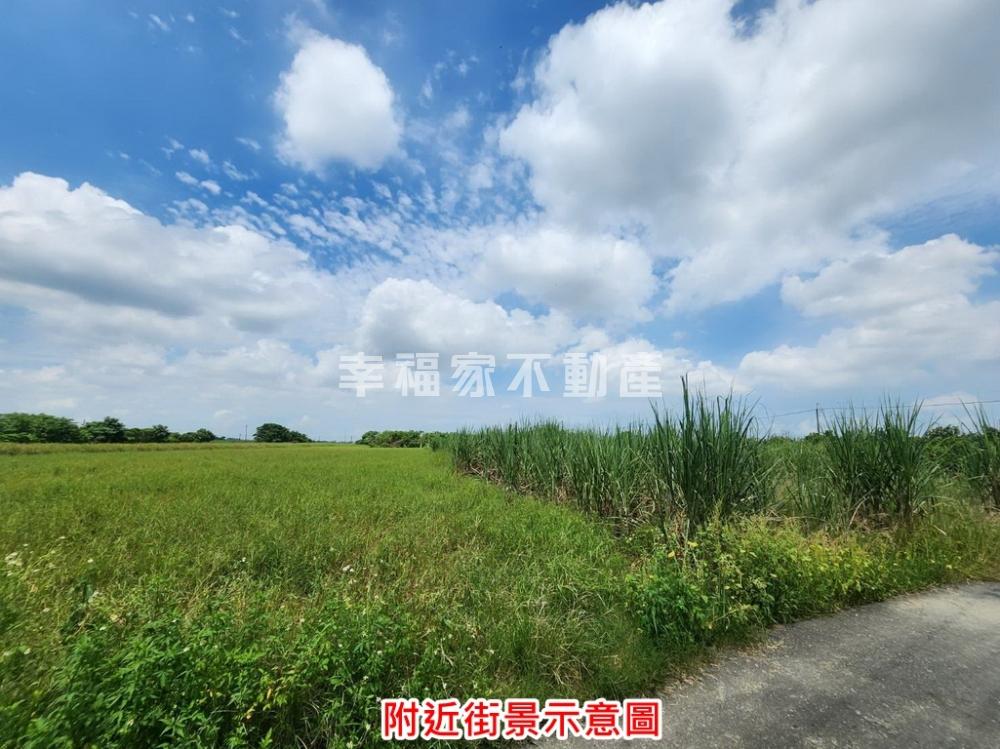 山上區優質978坪農地