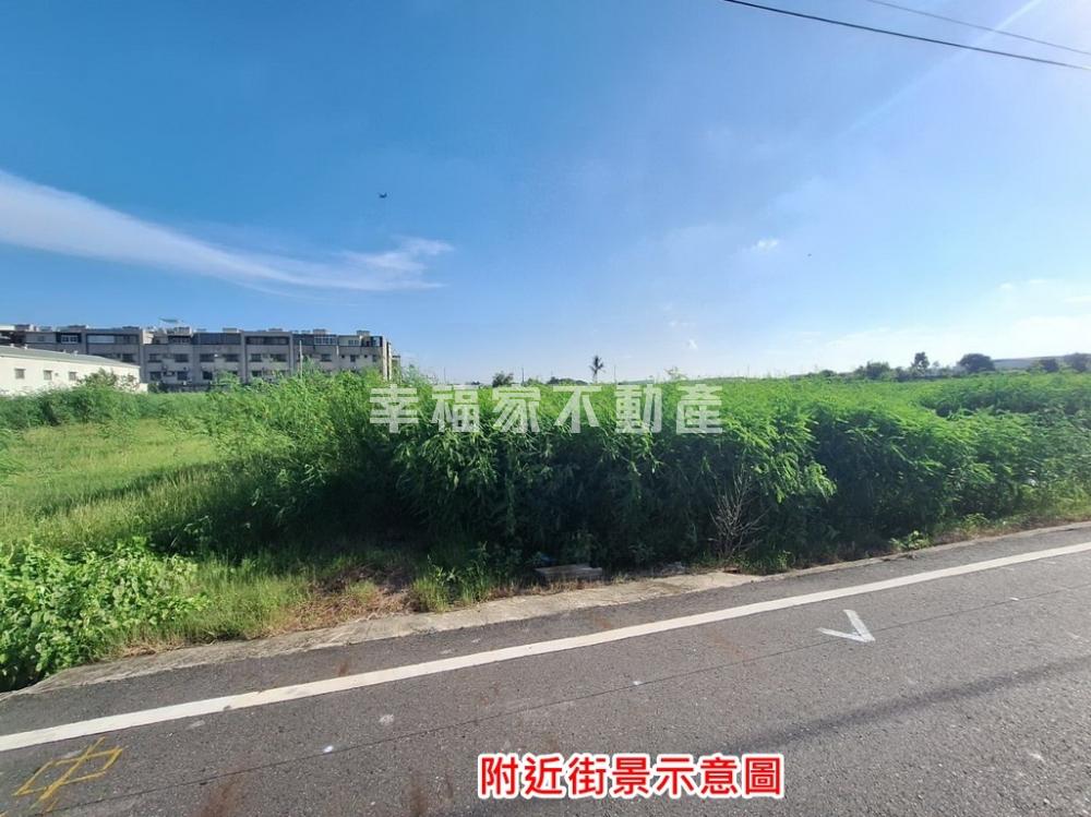安定新吉城544坪方正農地