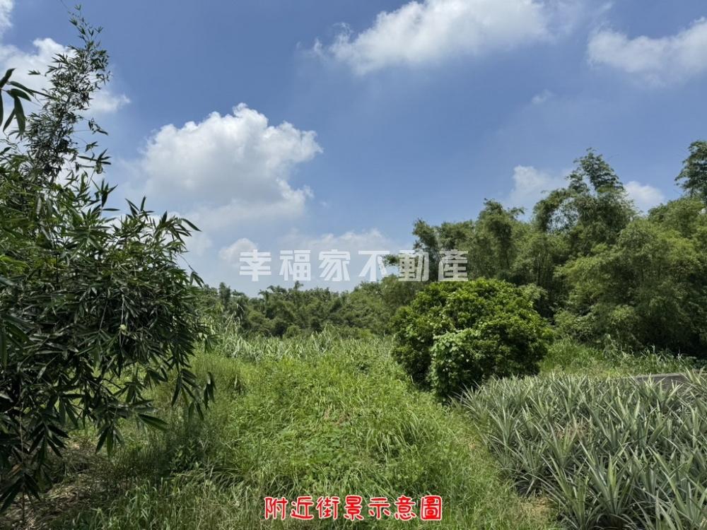 龜洞光電綠能用地