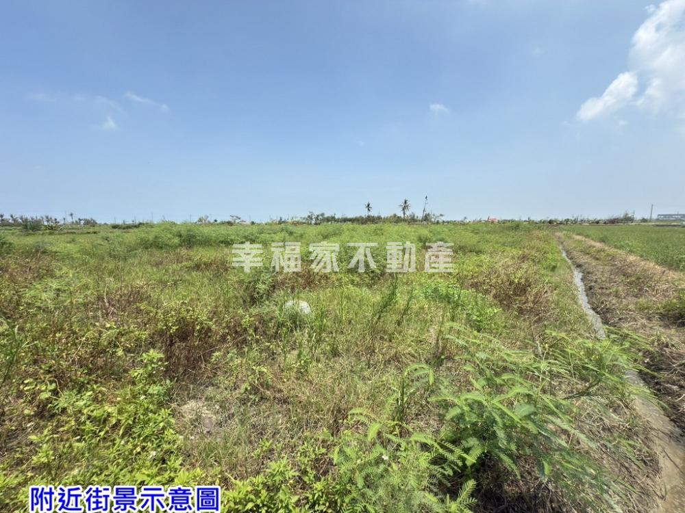 學甲中洲2.8分農地