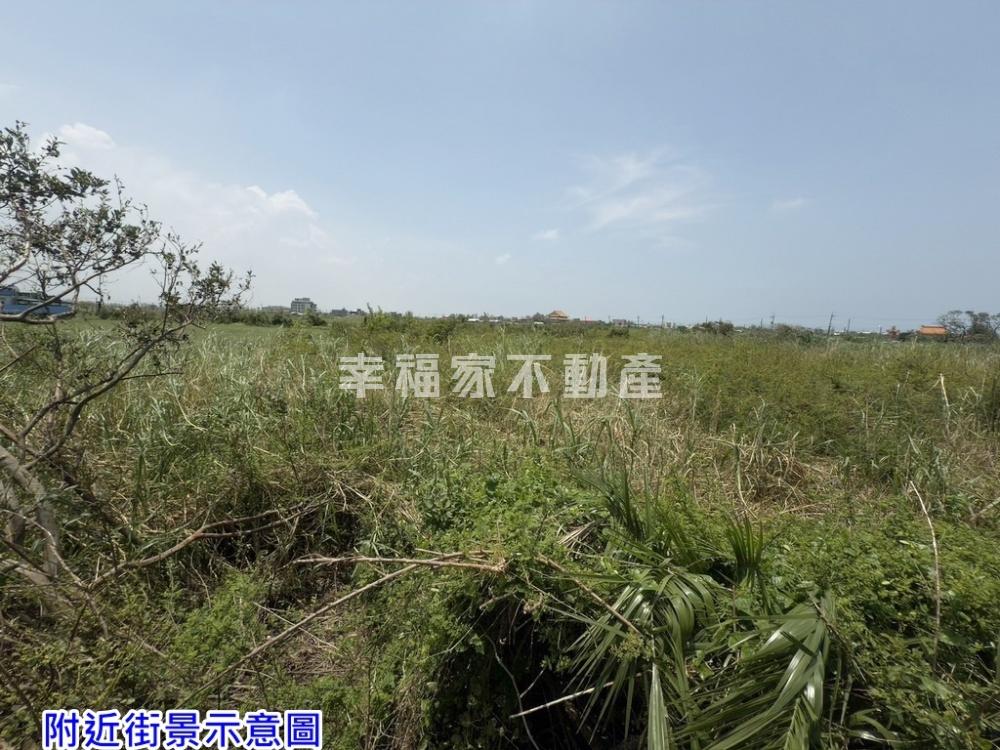 西濱公路旁大面積一般農