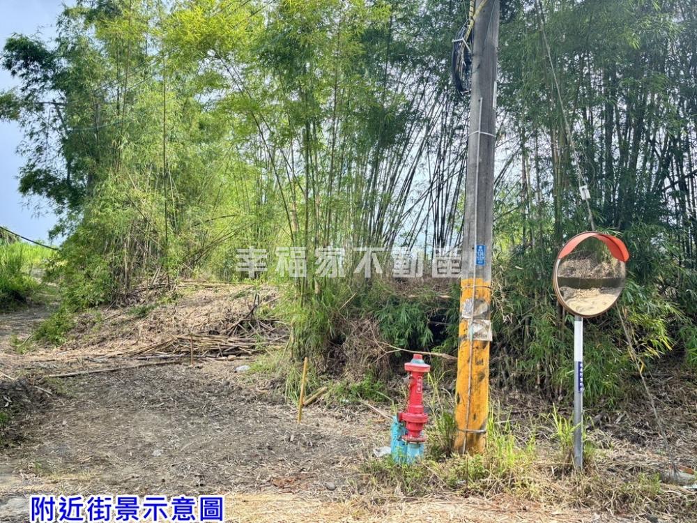 左鎮低總價賞山景山坡地