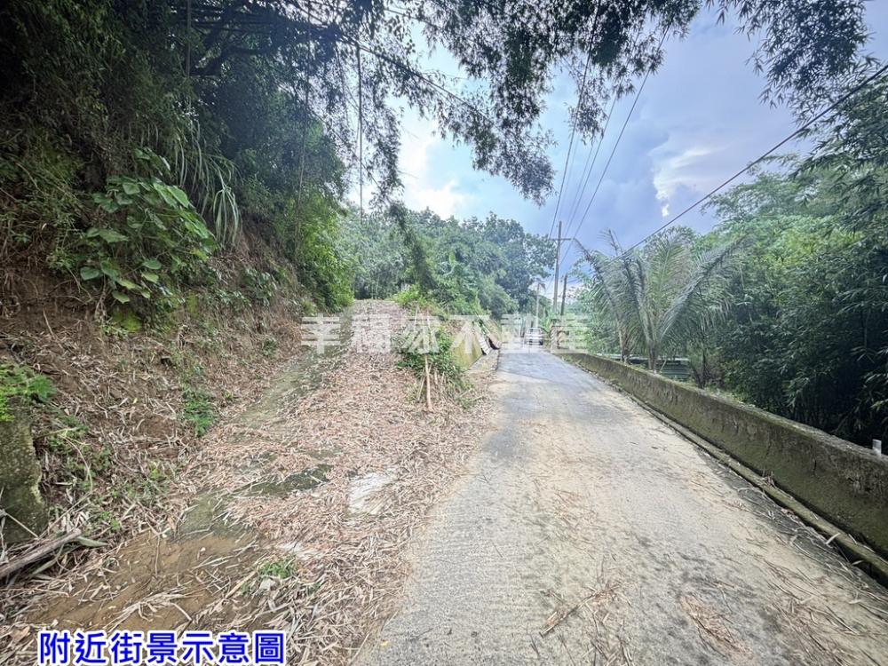 左鎮山豹段5.7分農地