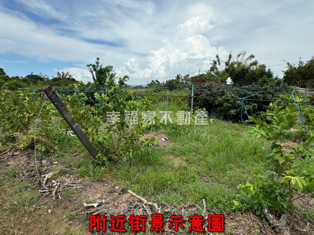 南區近86優值都內農地B