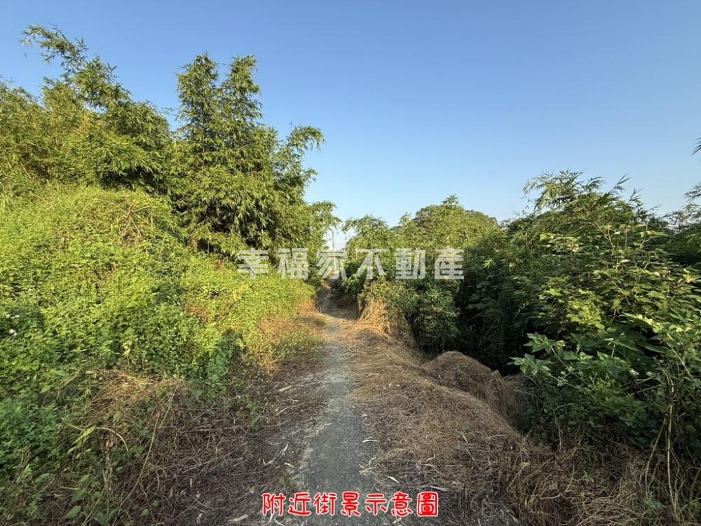 關廟新光彩繪村4分便宜農地