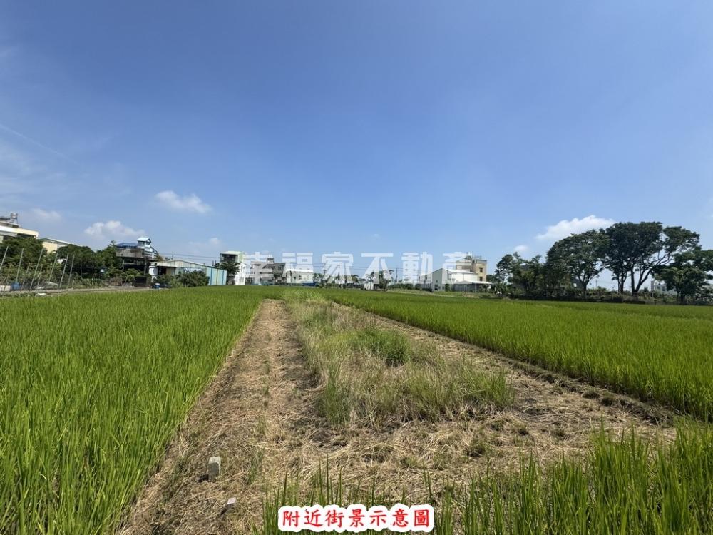 官田50坪待市地重劃土地