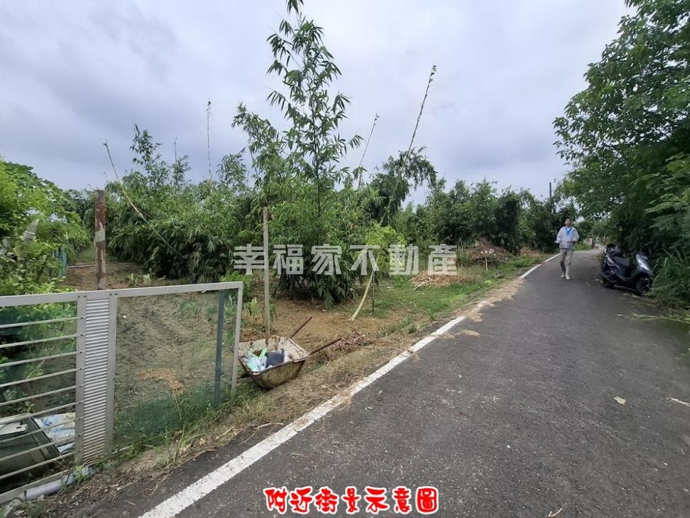 歸仁高鐵增值美農地