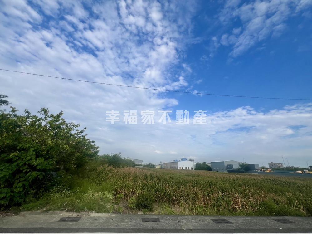 安定國8交流道旁美農地
