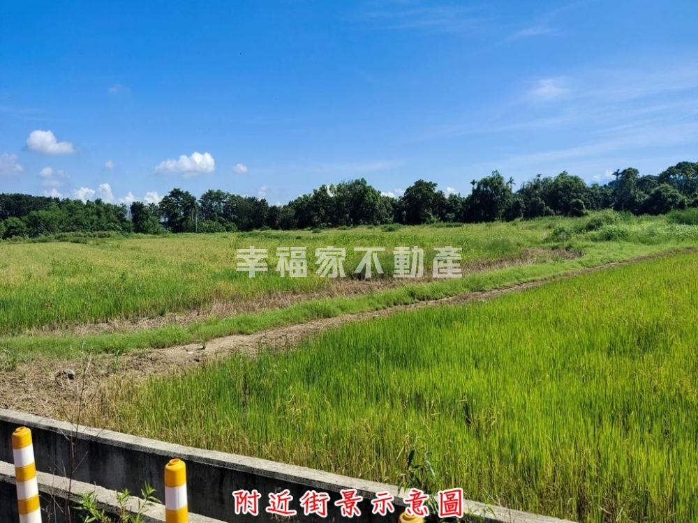 新化果菜市場正對面農地