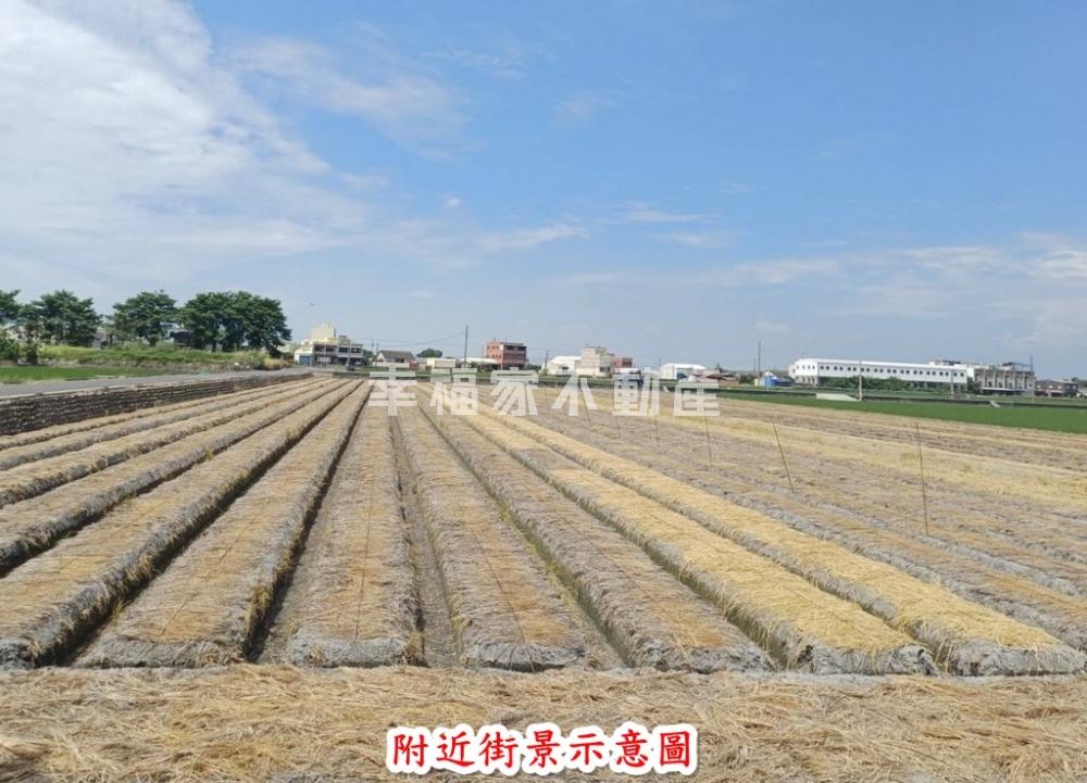雲林莿桐雙面臨路優質農地