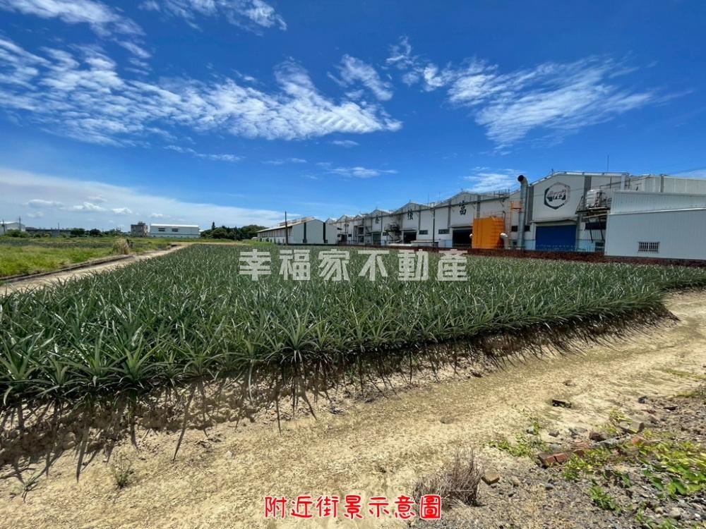 關廟保東路埤子頭段方正農地