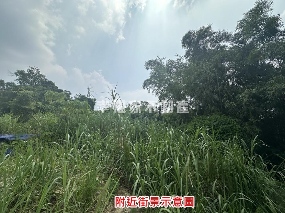 專．關廟埤子頭954農地