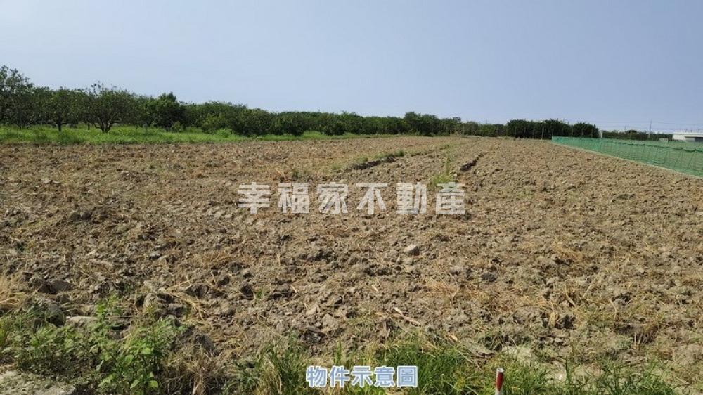麻豆區謝安段大地坪方正農地