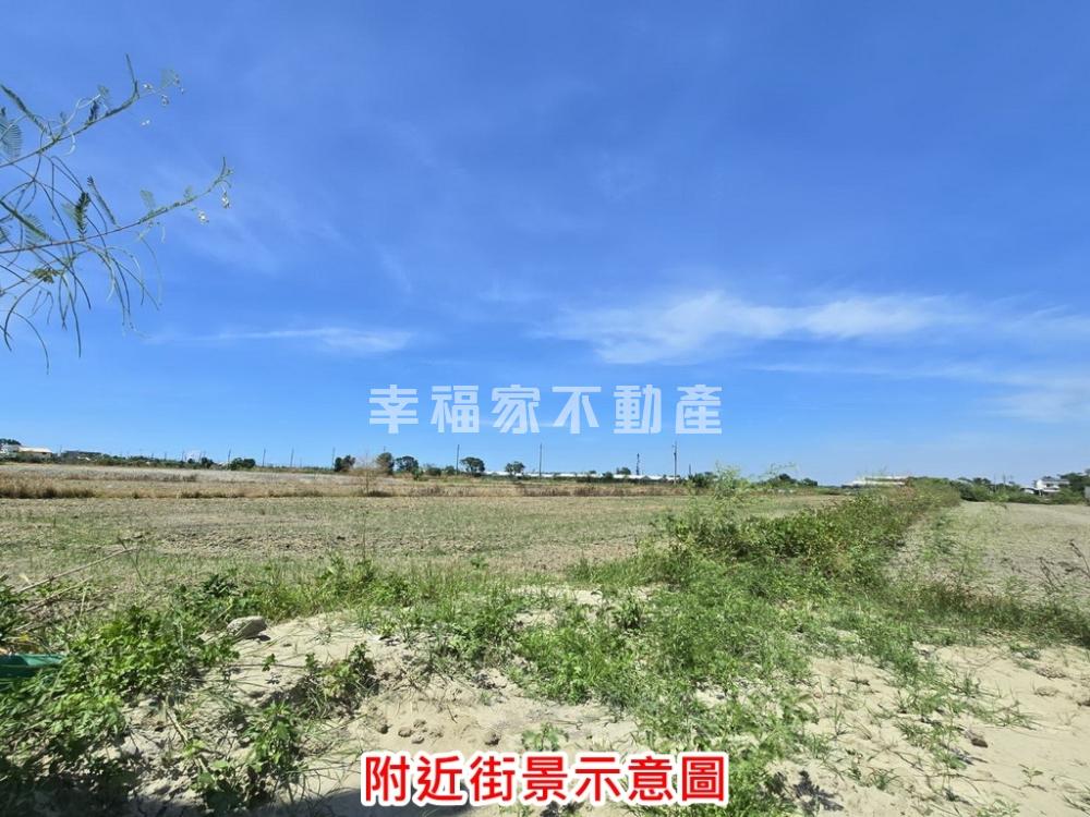 專-七股竹子港大路邊美農地