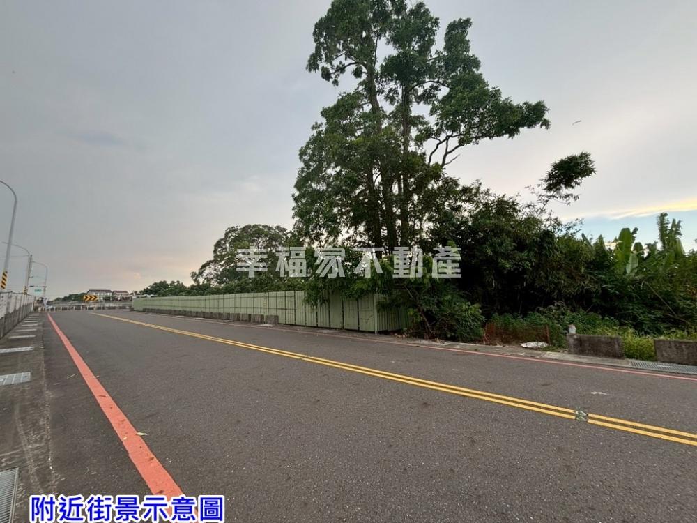 麻豆酪梨果園一般農