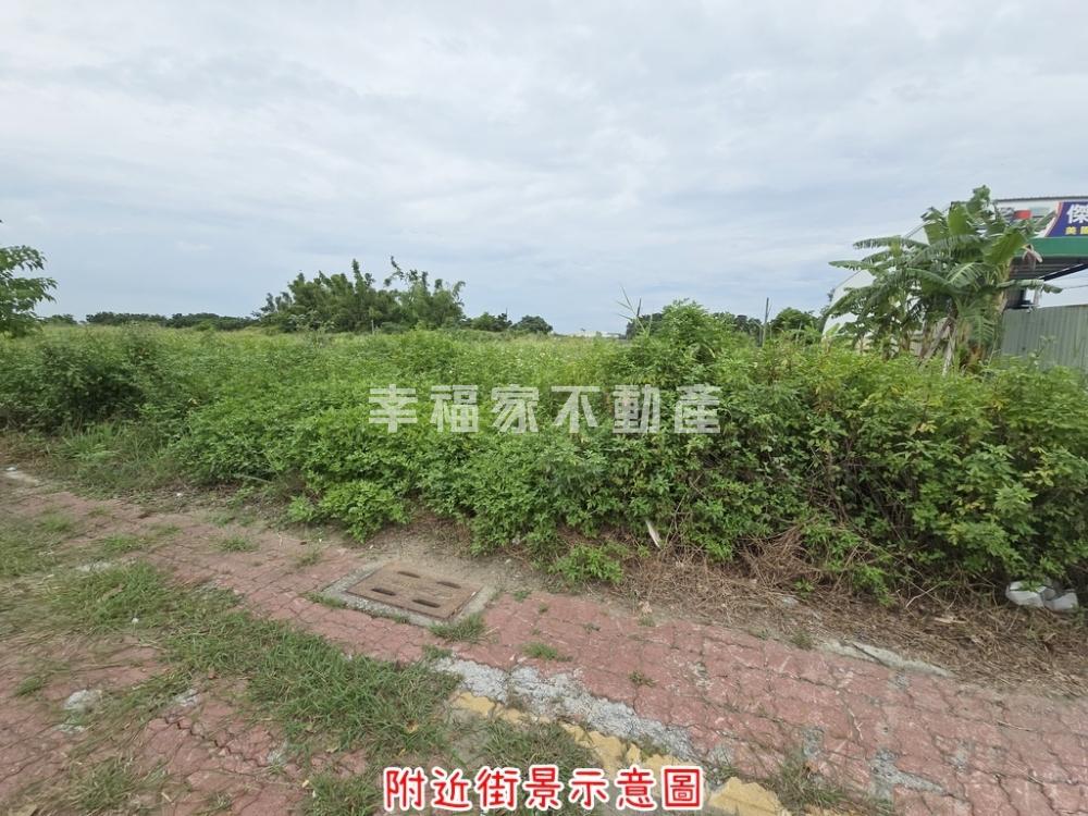 (專)正永成路202坪農地