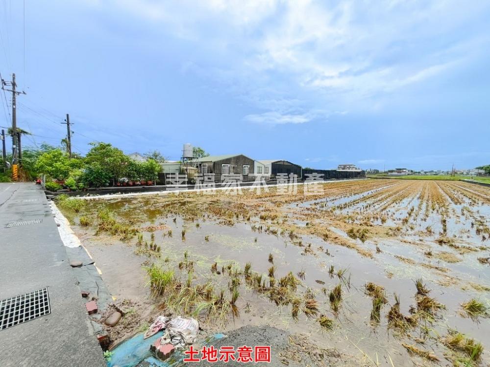 歸仁媽廟難得釋出蘭花園