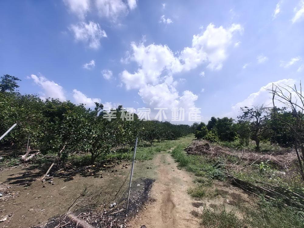 麻豆麻善段持分柚園
