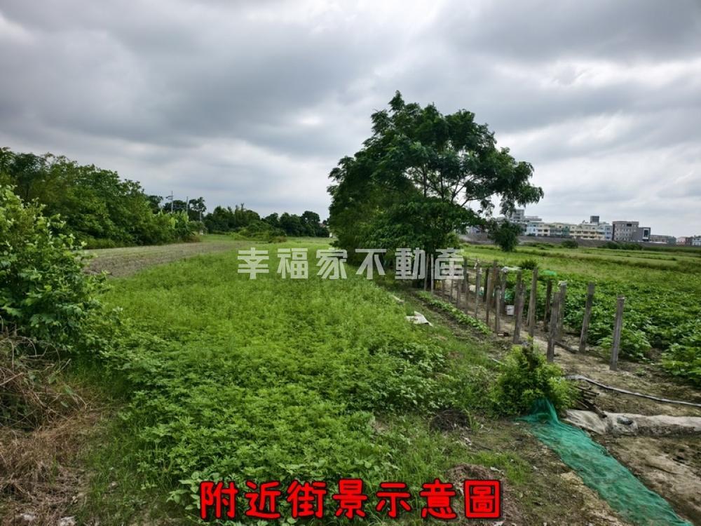善化胡厝寮343農地
