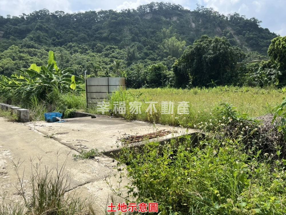 玉井680優質農地